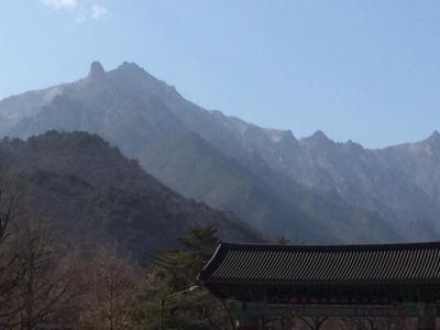 気ままにふらついてみました韓国ー水原・ソウル・束草・江陵