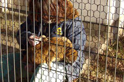 悩み多き動物園の霊長類