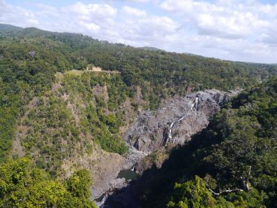 お盆　家族でケアンズ　４日目　キュランダ＆ダンディーズレストラン