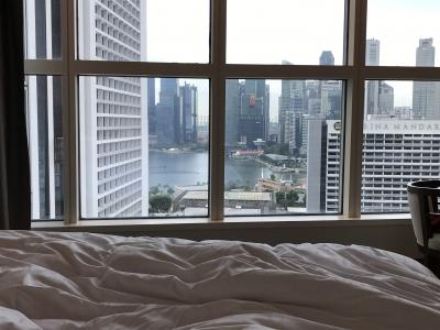 Vacation !? JAL/Hilton Diamond取得を東南アジアで完結な旅-シンガポール編