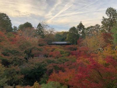 親友と紅葉の京都とサントリー山崎蒸留所