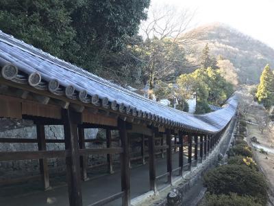 仔猫といっしょ計画（岡山総決算２０１８　吉備津神社他）