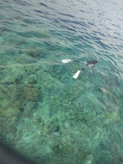 珊瑚の楽園　インドネシア・マナド　その1