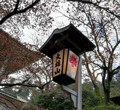 大雄山最乗寺に行ってきました！