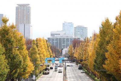 2018東京　外苑東通りのイチョウ並木