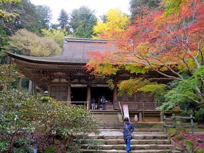 2018.11フィンランド人と一緒に京都，奈良旅行2-紅葉の室生寺