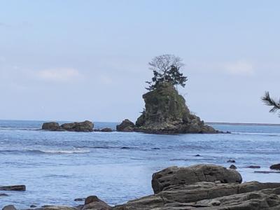 2019年01月　氷見旅行　1　新湊で白エビバーガー～雨晴海岸