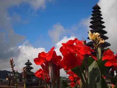 バリ島＋ジャワ島横断＋シンガポール旅2018 4～5日目：バリ島・チャングー
