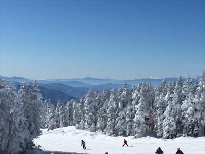 今年初めのスキーは、毎年恒例の志賀高原と岩菅ホテル