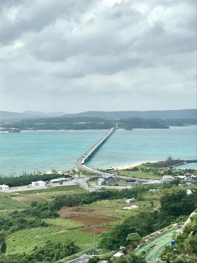 恒例の沖縄旅行