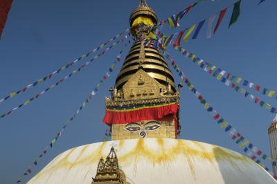 2019 1/10~14 Nepal Kathmandu ①