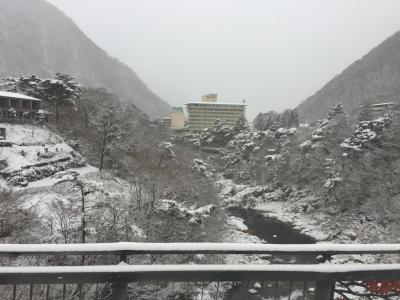 平成最後の年越しは、鬼怒川で2泊3日の雪見風呂その1