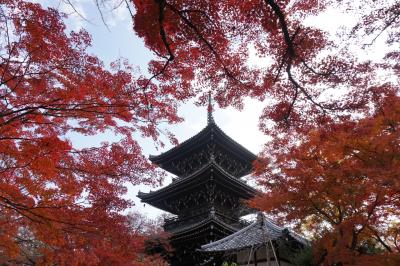京都紅葉の旅