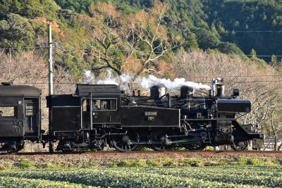 大井川鐵道のSLクリスマス特別運転2018～SL重連と門鉄デフ、田野口駅～（静岡）