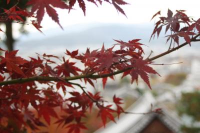 秋の京都　叡山電車で紅葉をたずねて