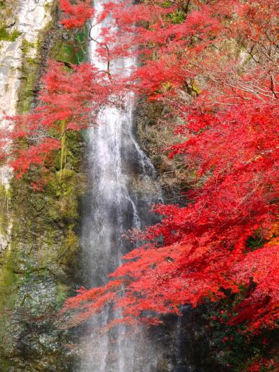 はじめて「箕面の滝」に紅葉見に行った。