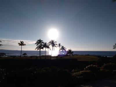 2019年1月　ハワイ島初上陸【前編：1日目・2日目】