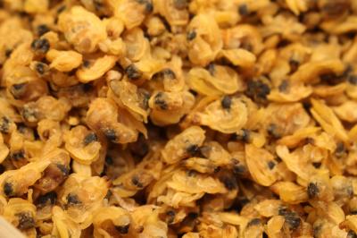 又香港に恋をした～I'm falling in LOVE in HongKong again!3