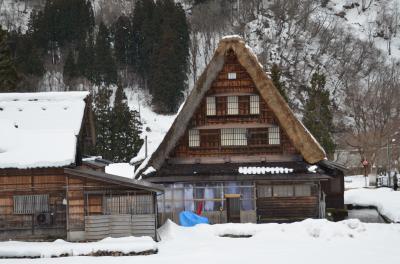 冬の時期は雪を見ようと、北陸に行きました。（五箇山・瑞龍寺編）