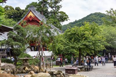 笠間/下妻/古賀ぐるり旅【10】～3,000株の紫陽花が境内を彩る～雨引観音（あじさいまつり2016）