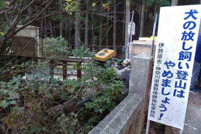 大山に単軌条運搬機 （モノレール）