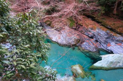 台湾人の御一行様と徳島3★徳島でOMOTENASHI　美食と絶景と絶叫の祖谷渓　～ホテル祖谷温泉・かずら橋・琵琶の滝・カルネ屋～