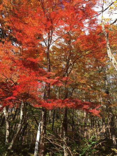 軽井沢