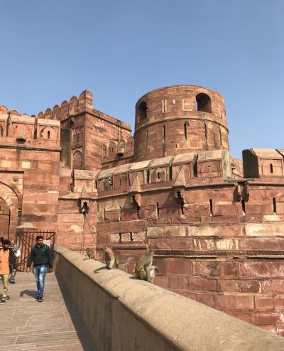 初インド5日目。アグラ城への道!