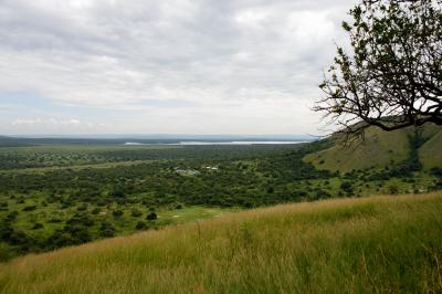 ウガンダ・マウンテンゴリラに会いに行く旅２（カンパラ～ムブロ湖国立公園）