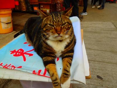 2019年も、行きます香港♪今回は2泊だけ～(;'∀')　①早朝到着のハードな1日目、今回はどうする？！