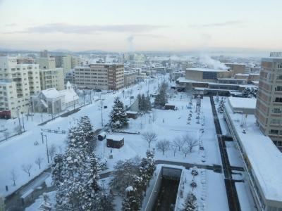 公共交通機関だけで行く! 極寒の旭川を楽しむ一人旅