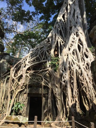 世界遺産の旅☆カンボジア シェムリアップ1人旅①