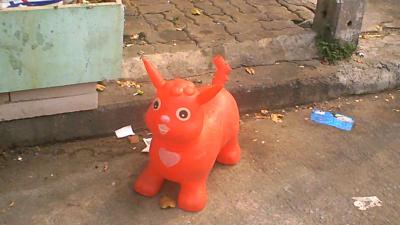 2019年 バンコク 2/3:猫、猫、猫… 動物園?