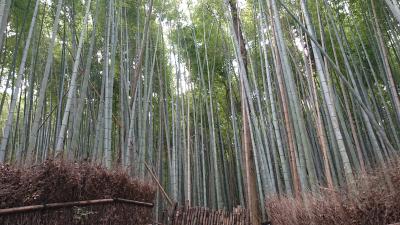 紅葉巡り（京都）　2日目　2/4　：　天龍寺＆錦市場編