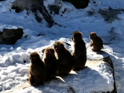 ３歳児と草津　特急旅行