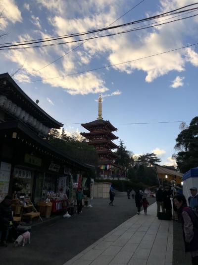 高幡不動~多摩ぶらり旅 古き和の門前町と夢の詰まった新しい街