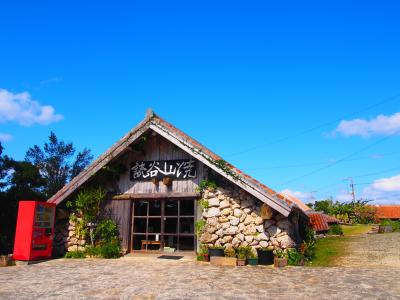 誕生日プレゼントの沖縄旅 ちびらーさん ３