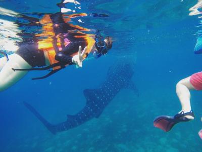 ジンベイザメと泳ぐinセブ島弾丸旅行２泊4日☆3日目