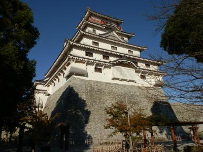 佐賀（唐津城・虹の松原・呼子のイカ）の旅