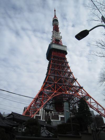 おのぼりさんが行く♪久しぶりの東京タワー♪