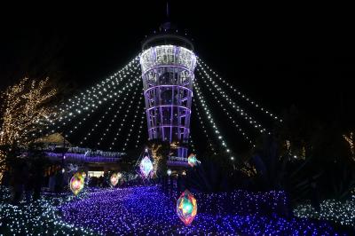 鎌倉散策パートⅢ　正月明け早々の鎌倉市街から江の島『湘南の宝石』まで～鎌倉駅から十二所、材木座、由比ヶ浜へと四方八方。江の島までは勢いです～