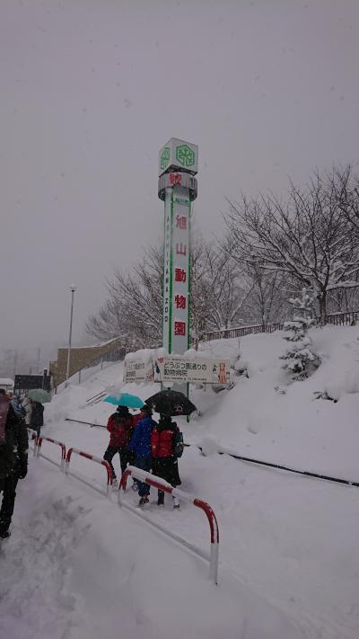 くまと行く冬の北海道その２