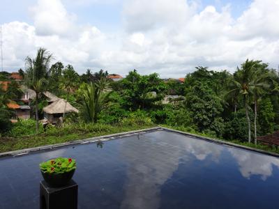 バリ島でゆっくりしてきた12月の冬、1