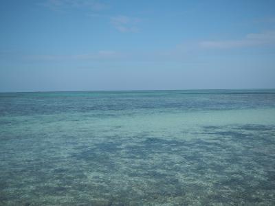 石垣島・竹富島 一人旅行記 (4) 竹富島に滞在