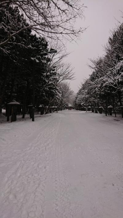 くまと行く冬の北海道その３
