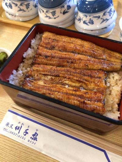 柴又七福神巡り～今年1年良いことありますようにと巡ったが、帝釈天でおみくじ凶をひいてしまい鰻で立ち直るの巻～