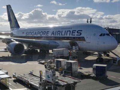 2018-2019年末年始　バリ島（27）　初昼間発のシンガポール航空