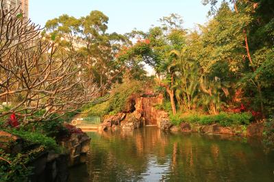 香港★荃灣日記　様々な植物が見られる自然いっぱいの公園　～城門谷公園～