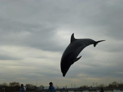 初めての京都水族館　まご（孫）まごと・・梅小路公園も