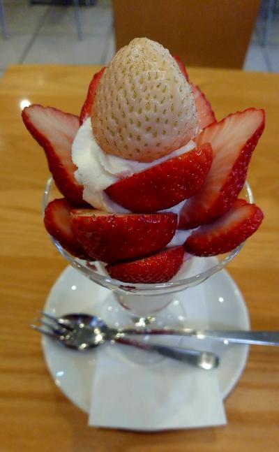 浅草の淡雪は甘かった！＠浅草寺＊大学いも 千葉屋＊フルーツパーラーゴトー＊隅田川＊浅草文化観光センター